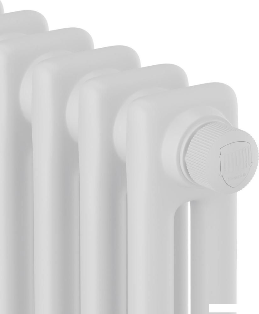 Стальной трубчатый радиатор Royal Thermo Insignia VC2050 - 12 секций RAL9016