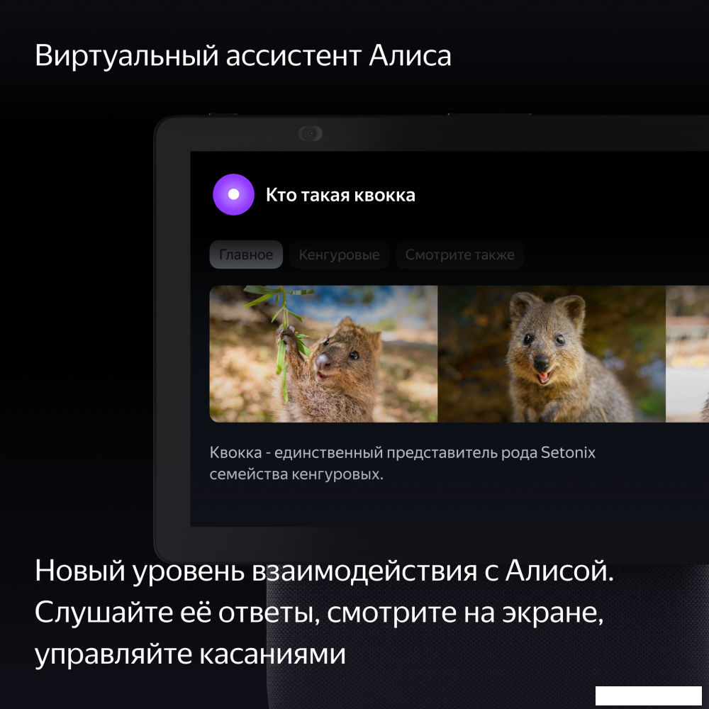 Колонка с умным дисплеем Яндекс Станция Дуо Макс (черный)