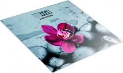 Напольные весы Redmond (Редмонд) RS-733 орхидея