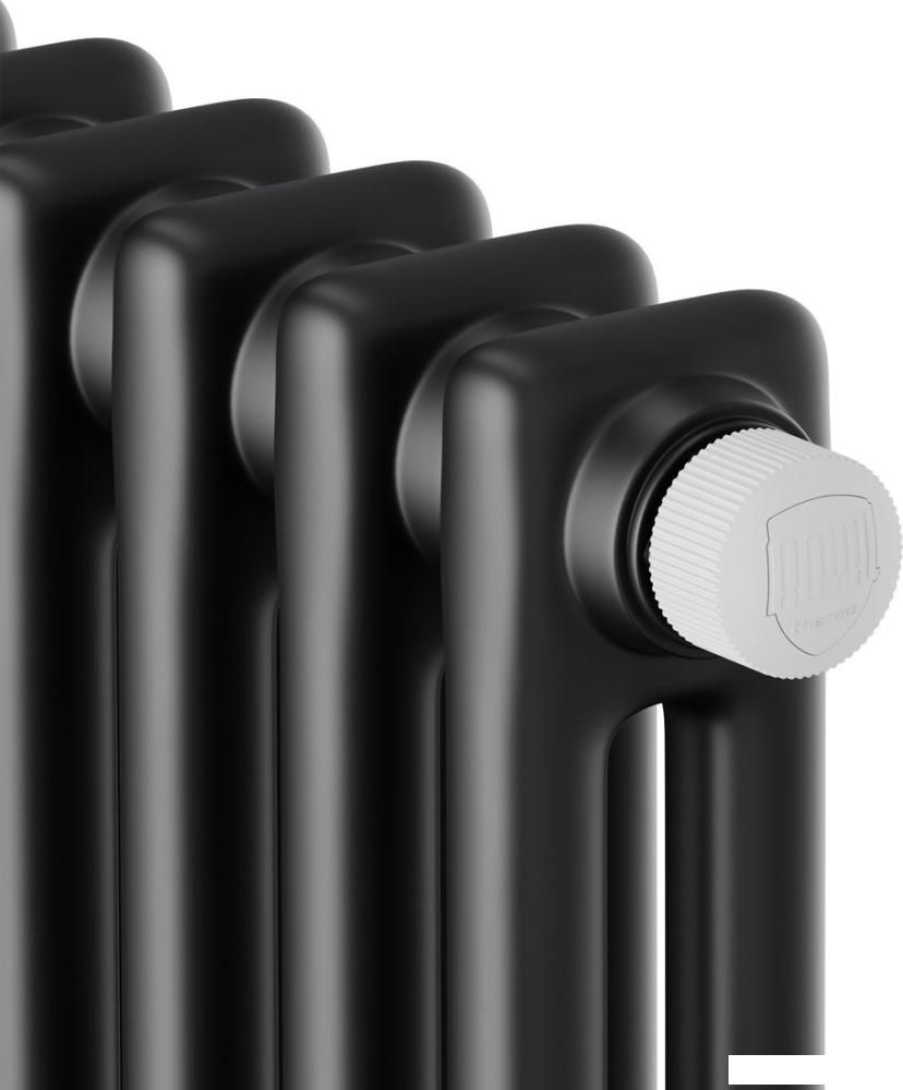 Стальной трубчатый радиатор Royal Thermo Insignia VC2180 - 10 секций RAL9005m