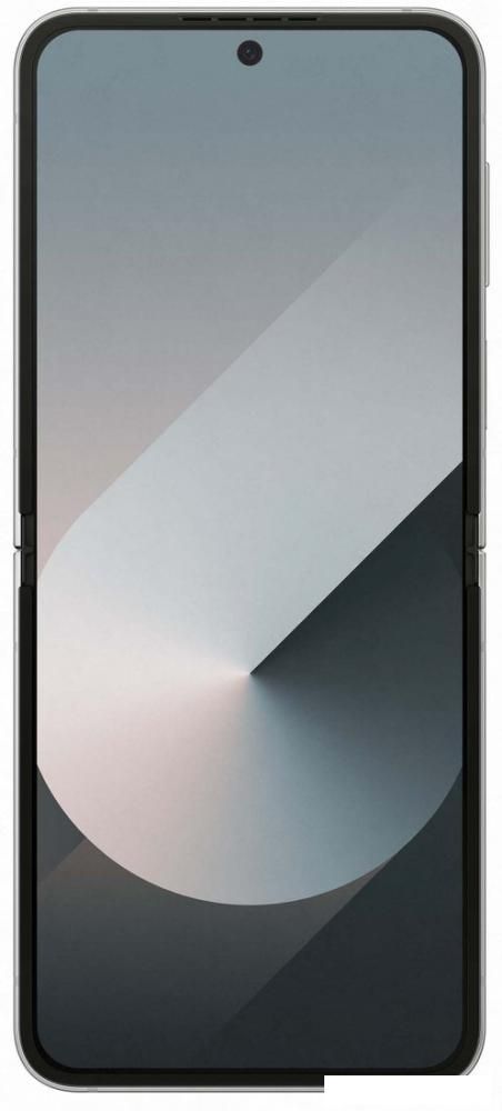 Смартфон Samsung Galaxy Z Flip6 SM-F741B 12GB/512GB (серый)