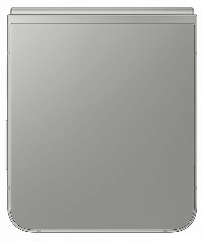 Смартфон Samsung Galaxy Z Flip6 SM-F741B 12GB/512GB (серый)