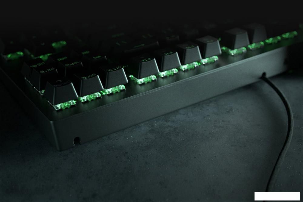 Клавиатура Razer BlackWidow V3 Tenkeyless Green Switch