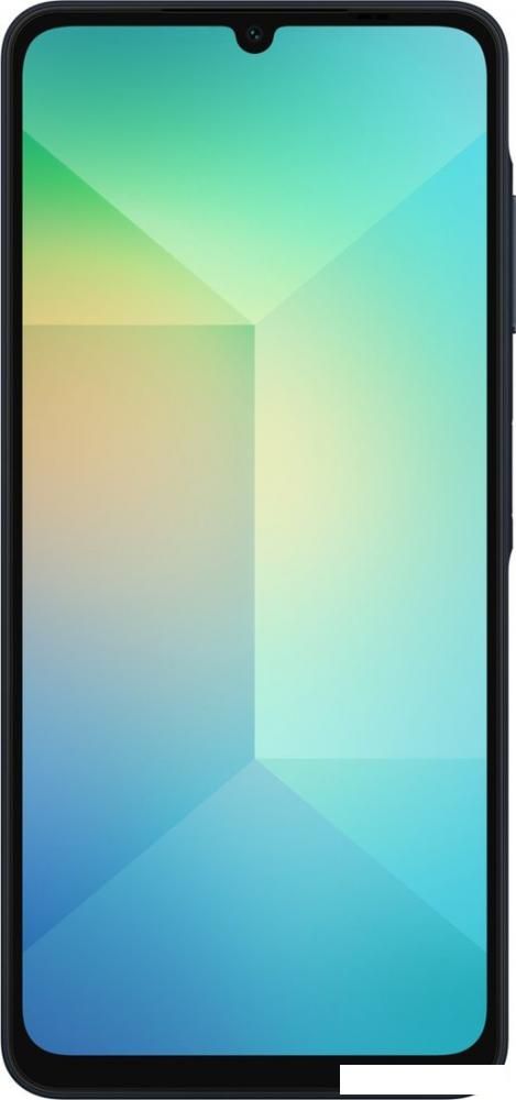 Смартфон Samsung Galaxy A06 SM-A065F 4GB/64GB (черный)