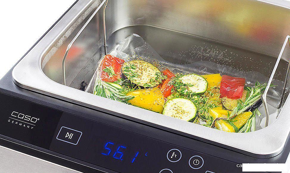 Су-вид (Sous-vide) CASO SV 900 [1306]