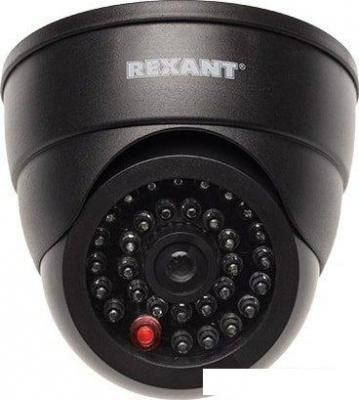 IP-камера Rexant 45-0230
