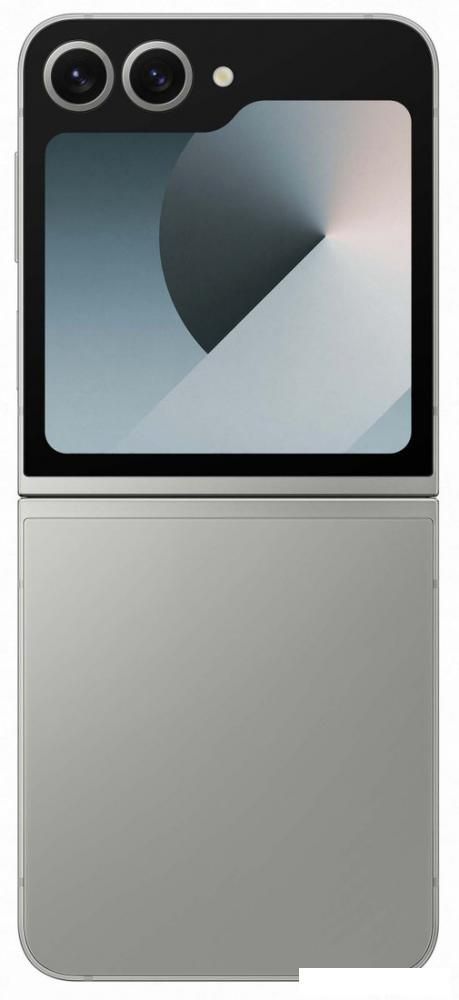 Смартфон Samsung Galaxy Z Flip6 SM-F741B 12GB/512GB (серый)