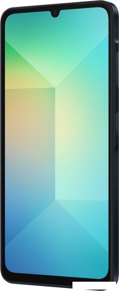Смартфон Samsung Galaxy A06 SM-A065F 4GB/64GB (черный)