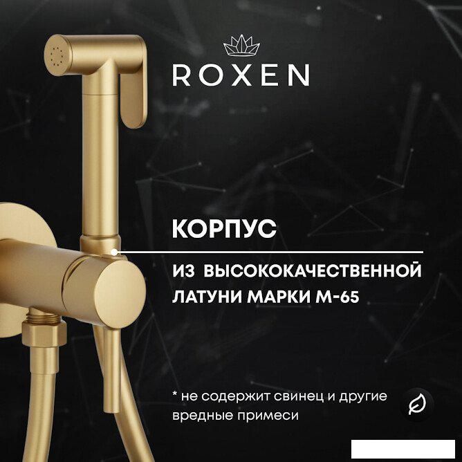 Гигиенический душ Roxen Santi 50094000-GB