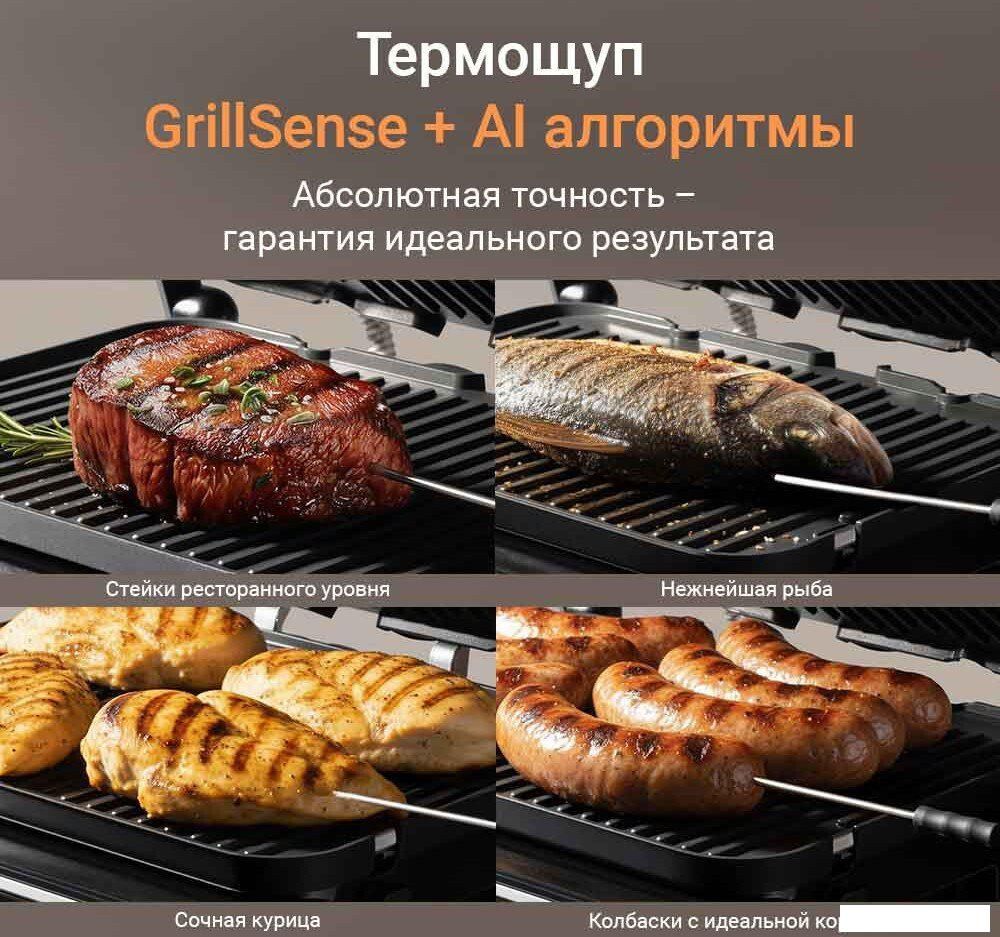 Электрогриль Redmond (Редмонд) SteakMaster GM306