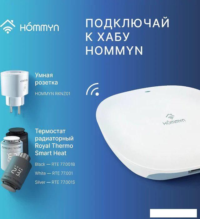 Центр управления (хаб) Hommyn Hub HH-01