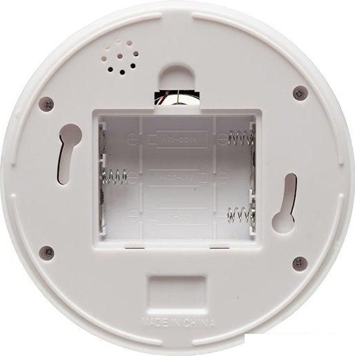 IP-камера Rexant 45-0210