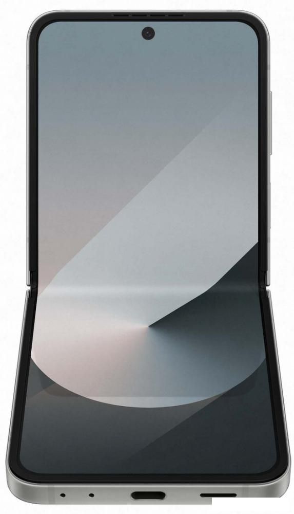 Смартфон Samsung Galaxy Z Flip6 SM-F741B 12GB/512GB (серый)