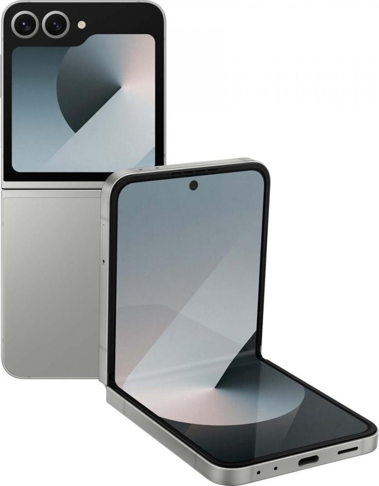 Смартфон Samsung Galaxy Z Flip6 SM-F741B 12GB/512GB (серый)