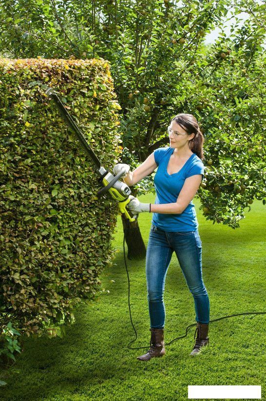 Кусторез Ryobi RHT6760RL