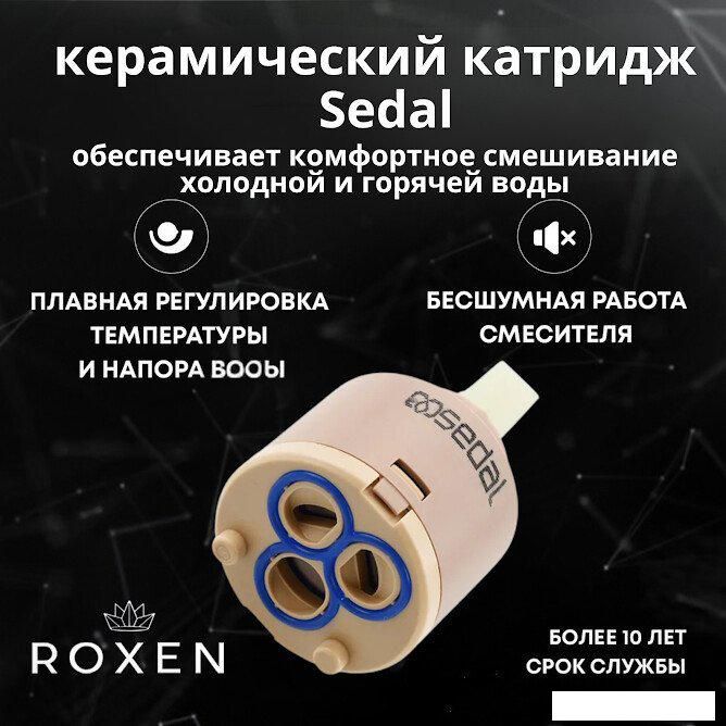 Гигиенический душ Roxen Santi 50094000-GB