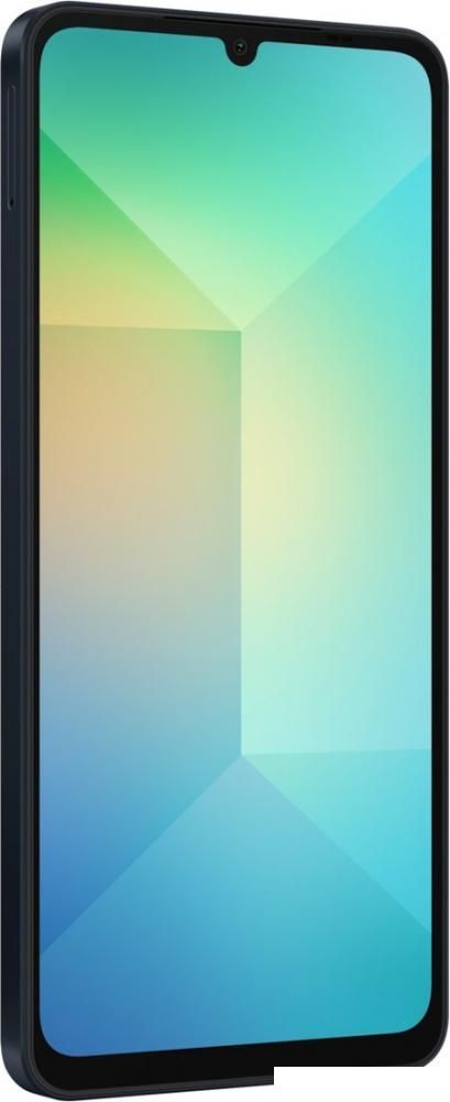Смартфон Samsung Galaxy A06 SM-A065F 4GB/64GB (черный)