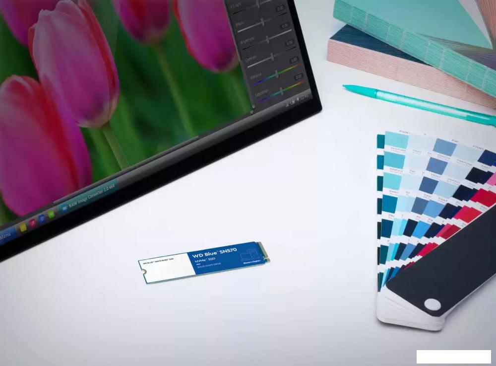 SSD WD Blue SN570 1TB WDS100T3B0C