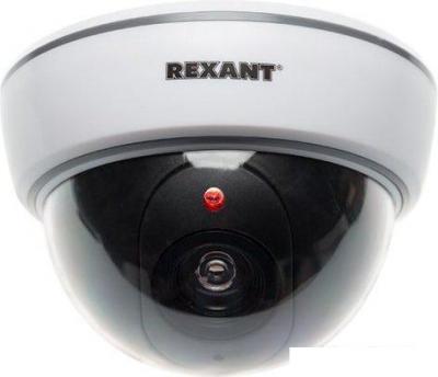 IP-камера Rexant 45-0210