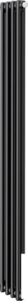 Стальной трубчатый радиатор Royal Thermo Insignia VC2180 - 04 секций RAL9005m