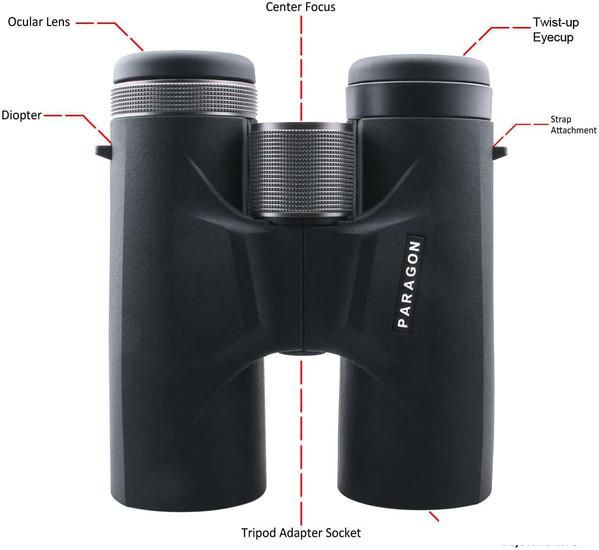 Бинокль Vector Optics Paragon 8x42 83171