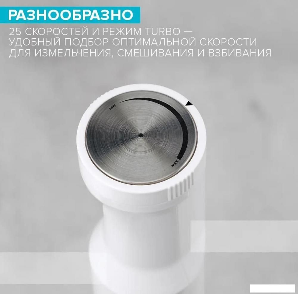 Погружной блендер Scarlett SC-HB42F09