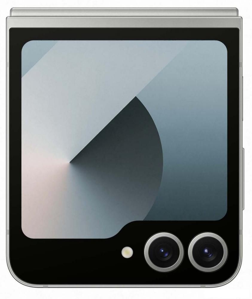 Смартфон Samsung Galaxy Z Flip6 SM-F741B 12GB/512GB (серый)
