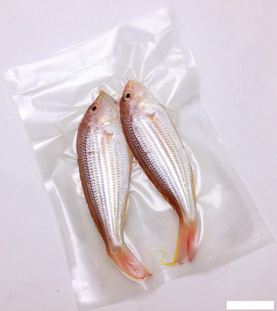 Вакуумный упаковщик CASO GourmetVAC 180