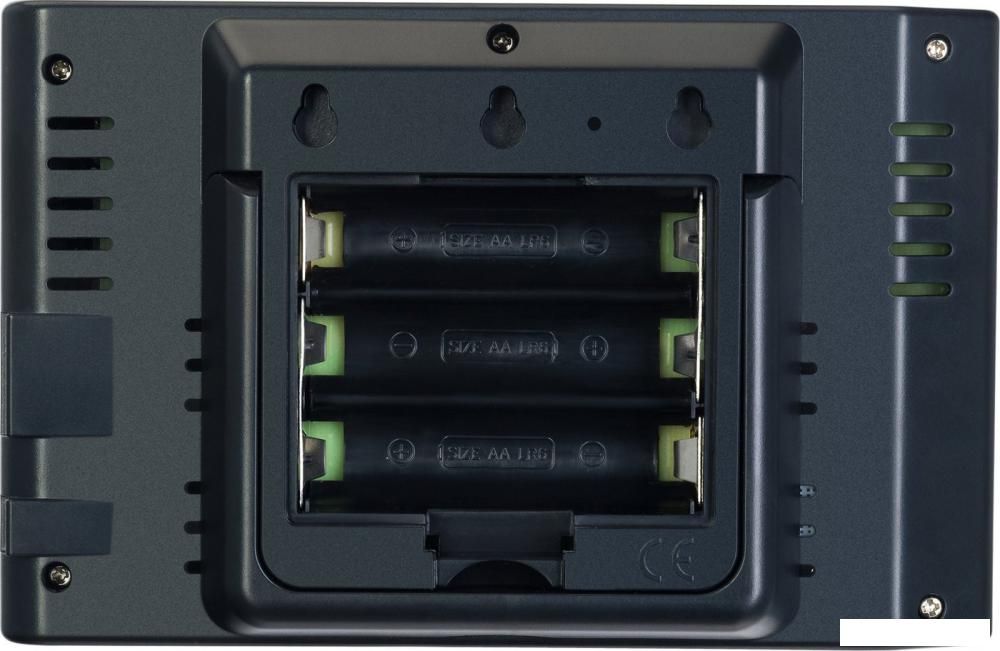 Термометр Levenhuk Wezzer PRO LP240 82934