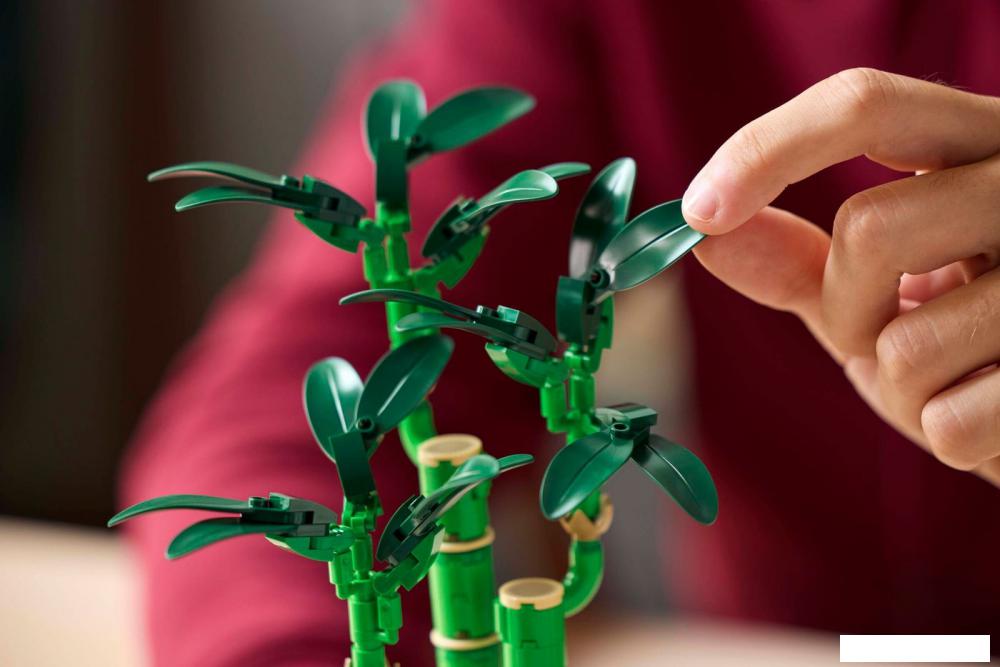 Конструктор LEGO The Botanical Collection 10344 Счастливый бамбук