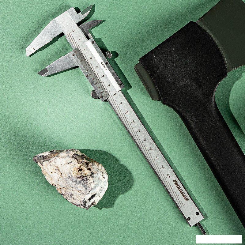 Штангенциркуль Rexant 12-9101-2