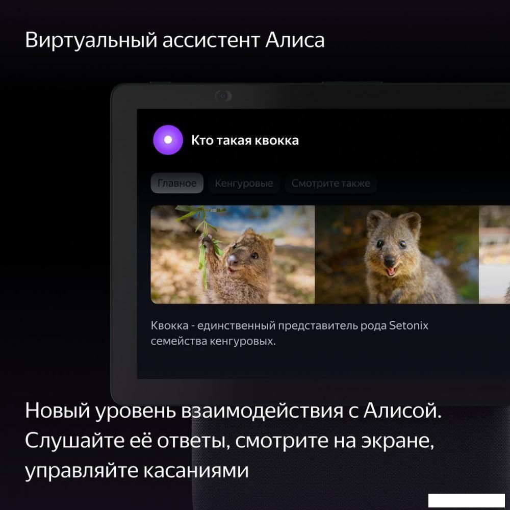 Колонка с умным дисплеем Яндекс Станция Дуо Макс (зеленый)