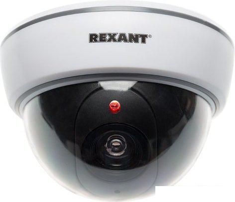 IP-камера Rexant 45-0210