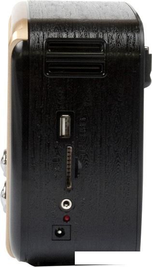Радиоприемник Ritmix RPR-050 (золотой)